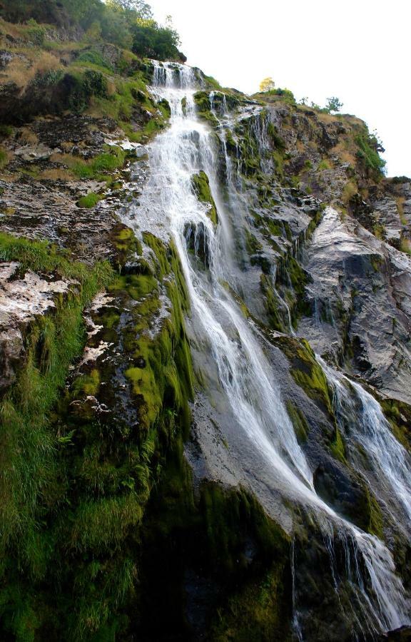 The Nook County Dublin Konuk evi Dış mekan fotoğraf